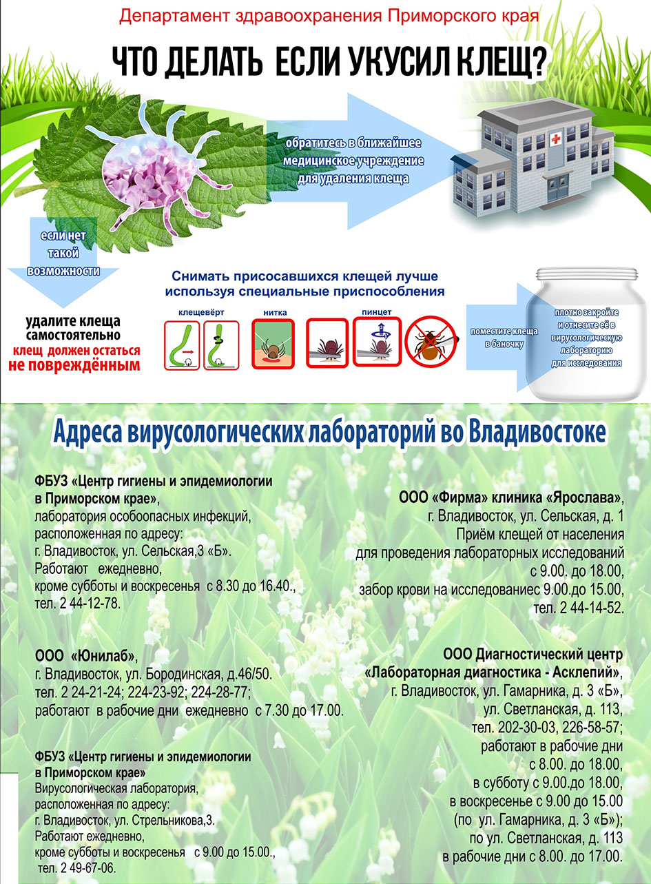 медицинская профилактика